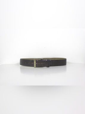 Vintage Distressed Wide Brown Snake Embossed Leather Belt with Removable Buckle